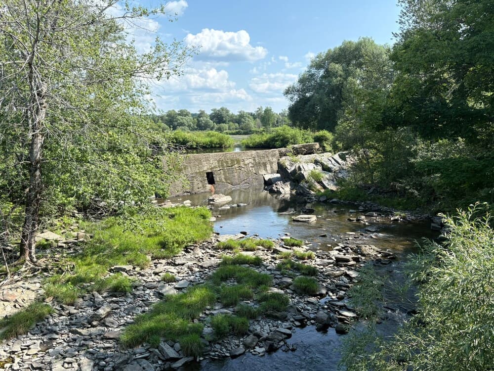 Vue large de la rivière et de son lit de galets, entre des rives boisées