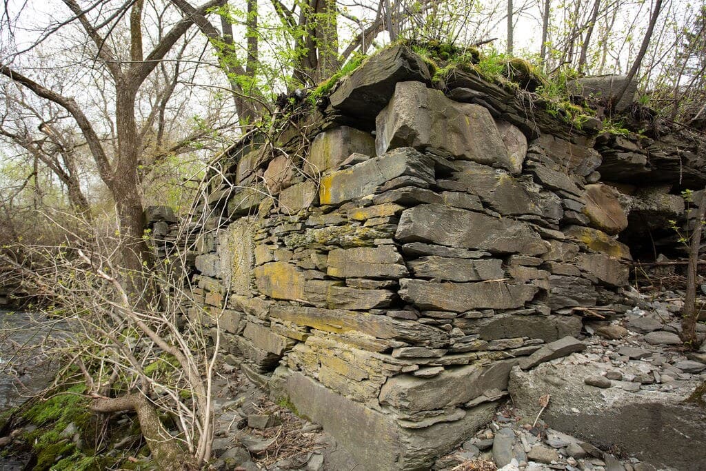 Les murs de pierre sèche du moulin, envahis par la mousse et les jeunes pousses